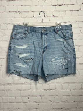 AE Strigid Super High-Waisted Relaxed Distressed Denim Short